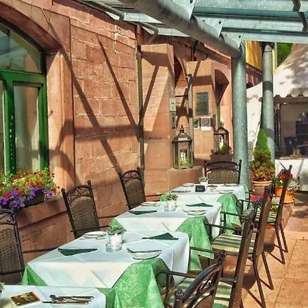 فندق Kloster Hirsau 4*