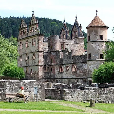 Otel Kloster Hirsau 4*