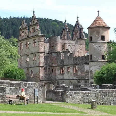 Kloster Hirsau 4* Calw